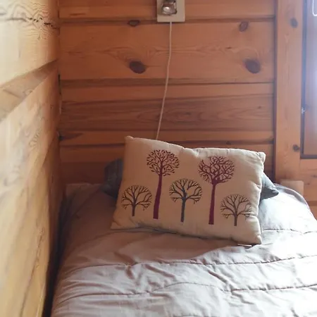 Turjanlinna 木屋 兰塔萨米